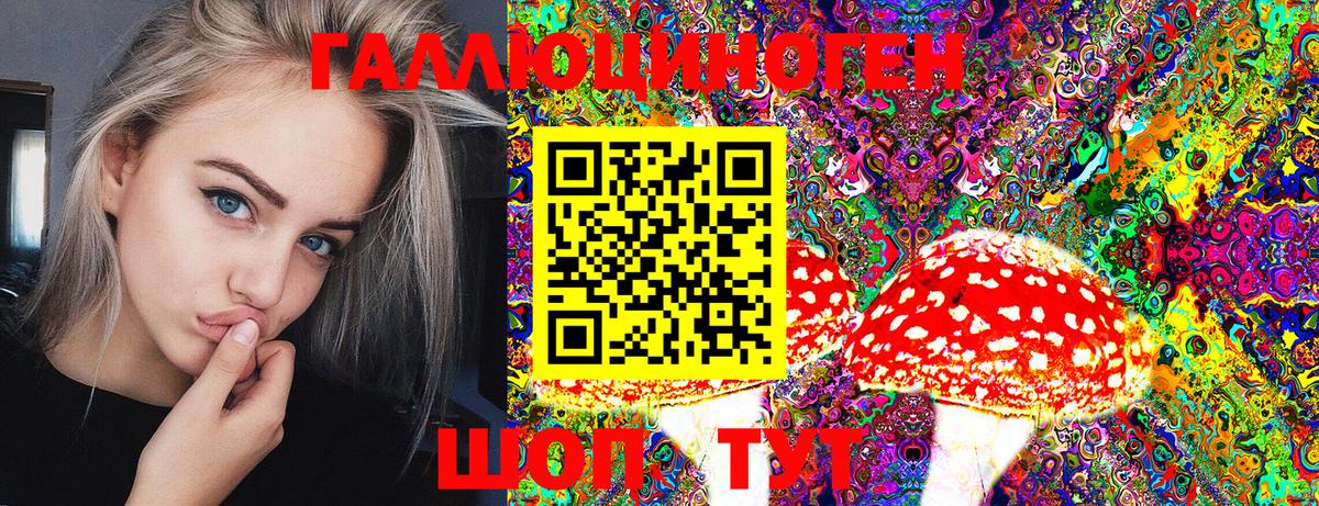 Галлюциногенные грибы Psilocybine cubensis  Галлюциногенные грибы GOLDEN TEACHER  Псков  Вход с VPN 